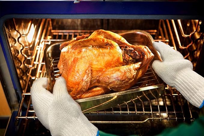 Heat Resistant Oven Glove Hot Surface Handler (Set of 2)