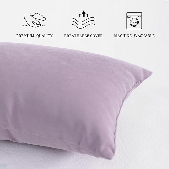 BEDSUM 2 Pack Microfiber Pillows, 13"x18" for Travel, Pets, Soft and Machine Washable, Small for Neck, Wrist, and Knee Comfort, Lavender
