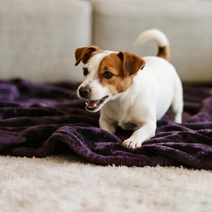 gogobunny Waterproof Bed Blanket, Reversible Sherpa Fleece Throw Blanket for Dog Puppy Cat, Furniture Cover Protects Bed Couch Sofa from Liquid Pee and Pet Fur (Dark Purple, 90x108 inches)