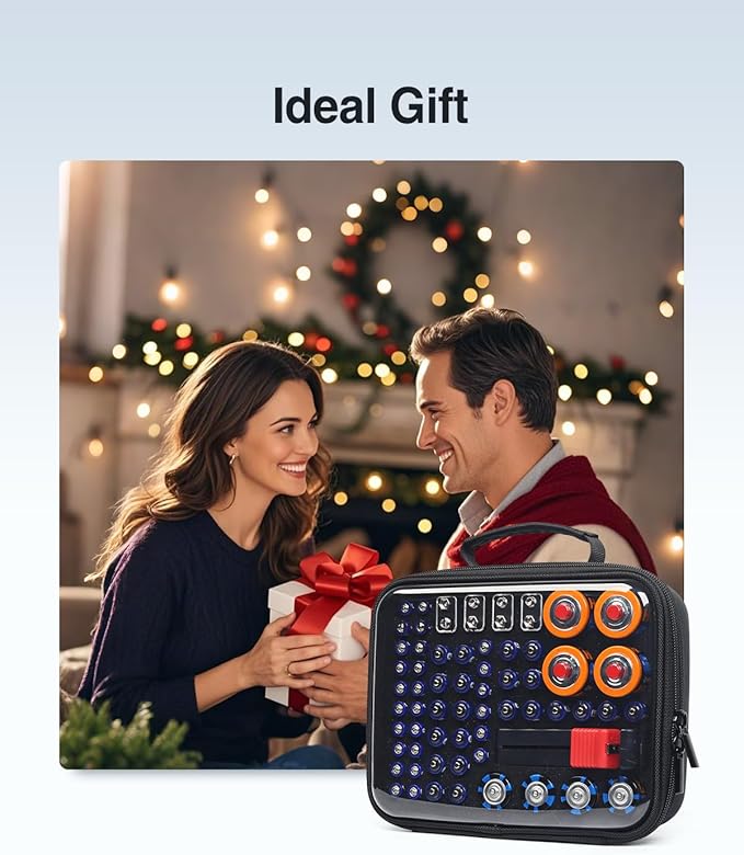 Luxtude Battery Storage Organizer, Clear Battery Organizer Storage Case with Tester,Hard Batteries Holder, Portable Batteries Case Organizers, Home Drawer Caddy (Black)