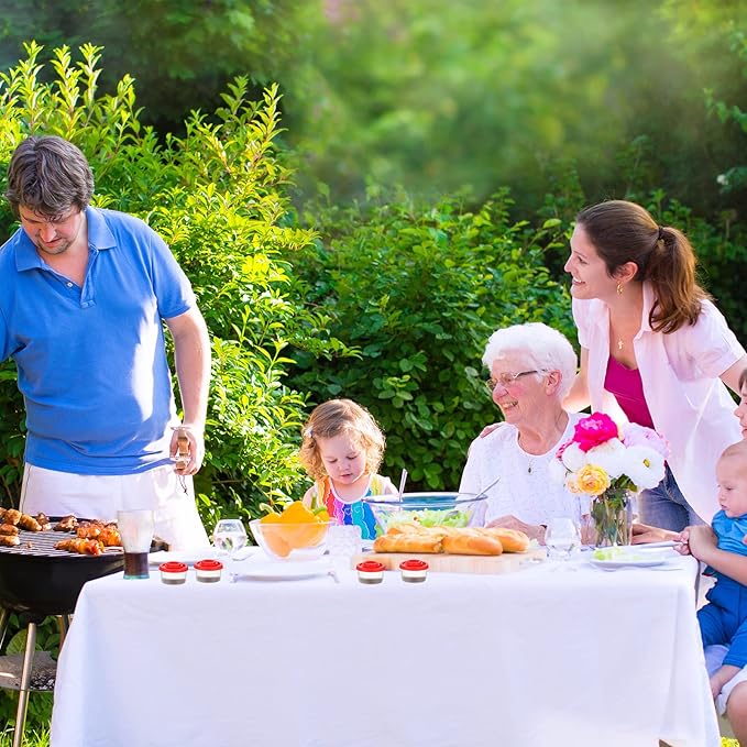 4 Pcs Salt and Pepper Shakers Set Mini Plastic Pepper Shaker with Lid Damp Proof Popcorn Containers Clear Spice Jars Salt Shaker for Travel Camping Picnic Lunch Dining Kitchen (Red, Small)