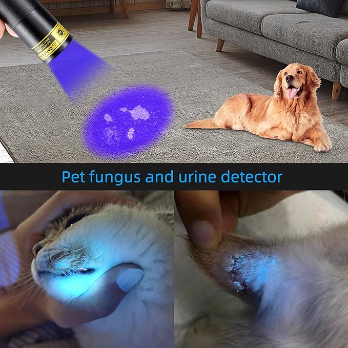 DARKDAWN UV 365nm Black Lights,Mini USB - C Rechargeable Flashlights Portable Woods Lamp, Handheld Portable Blacklight 370nm for Cat Urine Detection, Stains, Uranium Glass, Leak Detection, V4 365 nm
