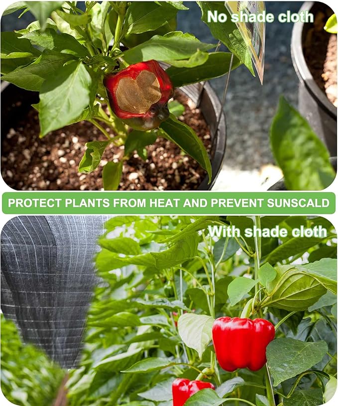 Shade Cloth for Garden, 40% 20 x 20 FT Black Mesh Tarp with Reinforced Grommets, Sun Shade Net Greenhouse Shade Cloth for Plants Cover, Vegetables, Patio, Chicken Coop Sunshade