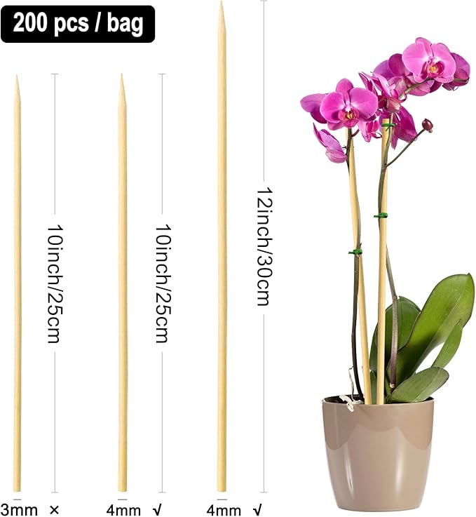 BLUE TOP 200pcs Natural Bamboo Skewers 10 inch Φ=4mm;Bamboo Sticks for Grilling, BBQ, Kabob,; Candy Sticks for Fruits, Candies, Chocolate Fountain, Appetizer, Plant Sticks for flower tomato growth