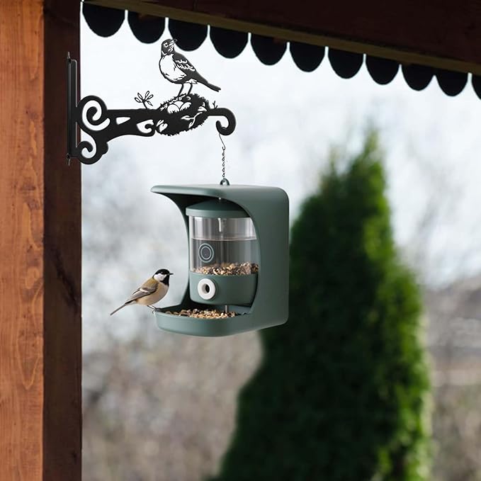 2-Pack Aesthetic Plant Hanger Indoor and Outdoor ??10 Inch Metal Hanging Plant Bracket with Beautiful Bird Pattern ??Anti Rust Plant Hooks for Hanging Plants, Bird Feeder, Wind Chime, Lantern