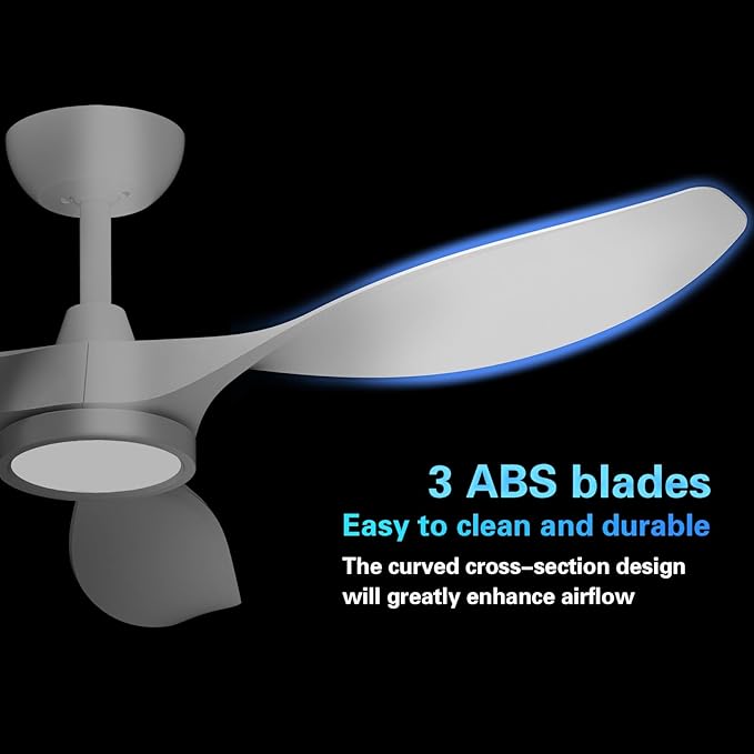 Roomratv Ceiling Fans with Lights,Large Airflow 52inch Modern Ceiling Fan with Quite Reversible DC Motor 3 Color Temperature LED Light (White)