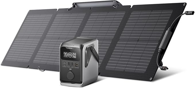 EF ECOFLOW Trail 300 DC Solar Generator with 110W Solar Panel, 288Wh LiFePO4 Power Bank, Power Station, for Camping, Travel, and Emergency Power