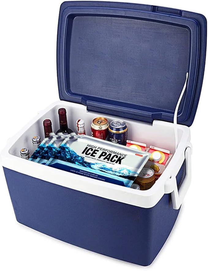 Reusable Ice Packs for Coolers Long Lasting Gel Freezer Packs for Cooler Bag Backpacks, Lunch Box, Cooler Bag, Keeps Food Cold Fresh (Set of 4)