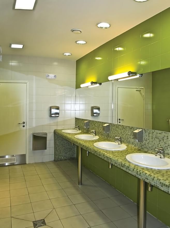 Lithonia Lighting Quantum Emergency Light, Contemporary Commercial LED Emergency Lights with 2 Aimable Lamp Heads, Ceiling or Wall Mount, White Thermoplastic, 120/277V Dual Voltage (ELM2L M12)