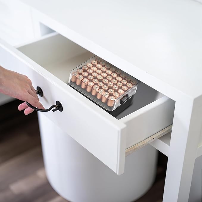 ALCYON Battery Organizer Storage Case, Battery Vault Box Container for 48pcs AAA Batteries, Plastic Clear Protective Battery Holder for Travelling/Home/Office (Black, Small)