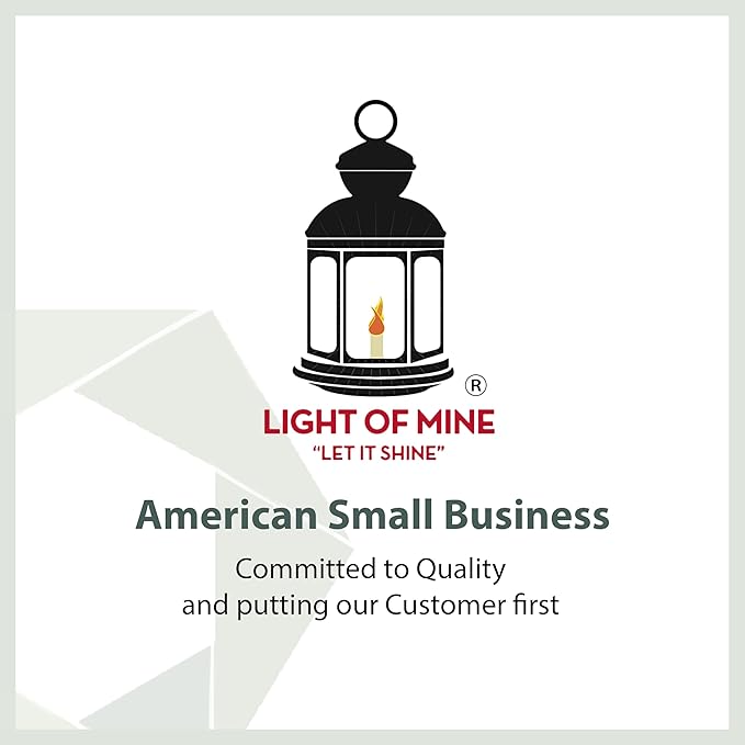 Light of Mine: Dietz #80 Blizzard Oil Lantern Replacement Kit with Blizzard Globe, Blizzard Burner, and 7/8" Replacement Wick Strips