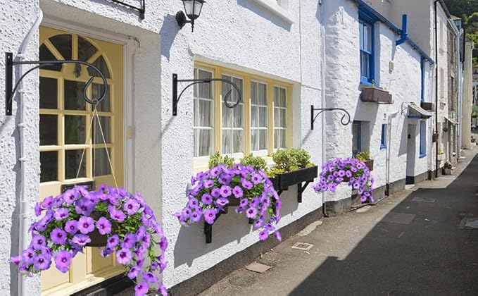 Tinsow 2 Pcs Plant Bracket Iron Wall Hooks Straight Downcurled Hanging for Wind Chimes, Flower Baskets, Decorative Plants, Lantern, Wind Spinners, Bird Feeders, Indoor or Outdoor Decoration