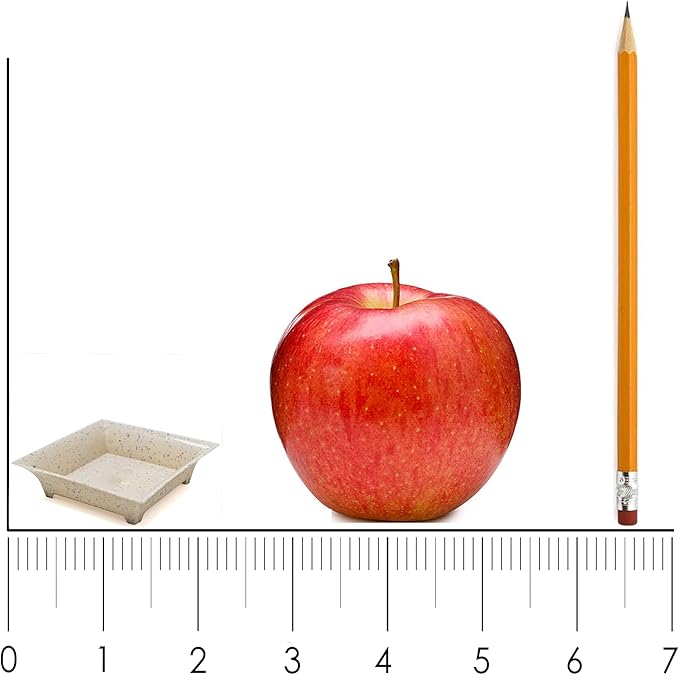 720 Pack Tiny Square Black Plastic Tray Mini Appetizer Plates for Party Mini Serving Tray Small Appetizer Serving Sauce Dish Black Disposable Dessert Plates for Weddings and Events CMJJ