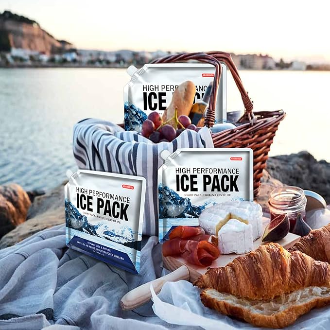 Reusable Ice Packs for Coolers Long Lasting Gel Freezer Packs for Cooler Bag Backpacks, Lunch Box, Cooler Bag, Keeps Food Cold Fresh (Set of 4)