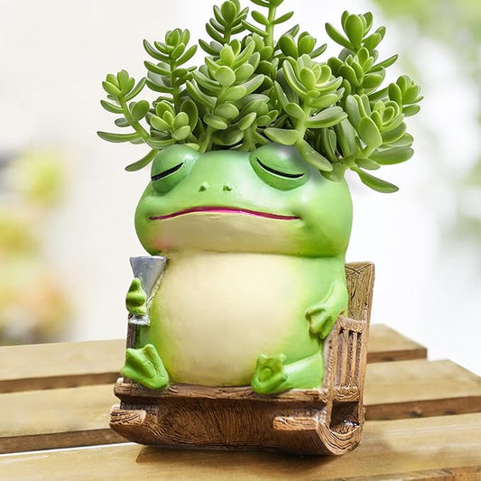Unique Frog Plant Pots Indoor, Cute Small Succulent Pots with Drainage Hole, Rocking Chair Planters for Outdoor Indoor Plants, Resin Flower Pot for String of Pearls, Gift Ideas for Mother
