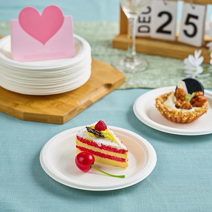 Vplus 125 Pack 6 inch Paper Plates 100% Compostable, Heavy-Duty Disposable Paper Plates Bagasse Natural Biodegradable Eco-Friendly Sugarcane（White）