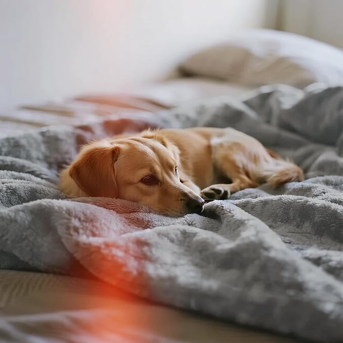 gogobunny Waterproof Bed Blanket, Reversible Sherpa Fleece Throw Blanket for Dog Puppy Cat, Furniture Cover Protects Bed Couch Sofa from Liquid Pee and Pet Fur (Grey, 90x90 inches)