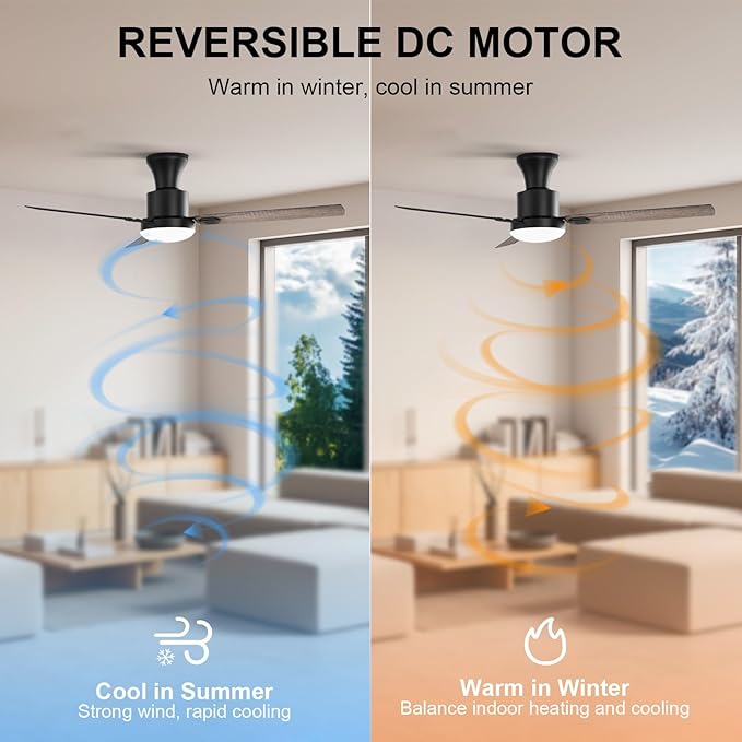 Obabala 60" Ceiling Fan with Remote, LED Light, Reversible Silent DC Motor, 6 Speeds, Large Modern Ceiling Fan for Outdoor Patio, Spacious Bedroom