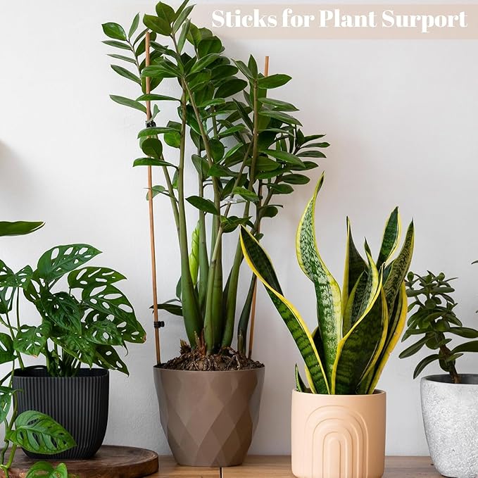 70PCS Marshmallow Roasting Sticks,30 Inch Marshmallow Sticks for Fire Pit 5mm Thick Bamboo Skewers for Smores Roaster Barbecue Campfire,Weddings and Plant Stakes