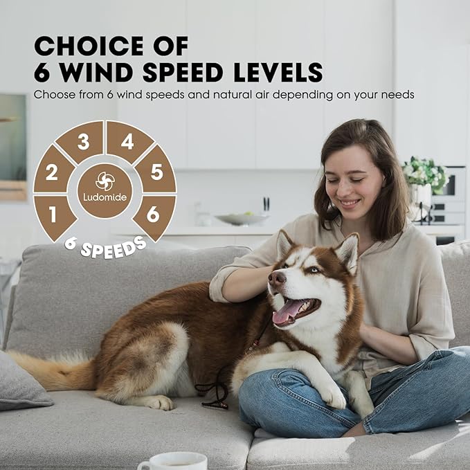 Ceiling Fans with Lights, 44" Low Profile Ceiling Fan with Light Remote Control, 6 Speed 35dB Ultra Quiet Smart Ceiling Fan with Reversible DC Motor, Dimmable 3CCT LED for Bedroom/Living Room (Black)