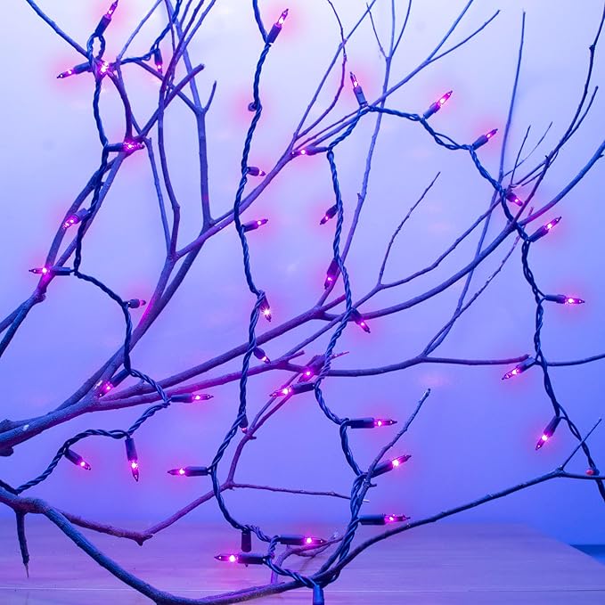 Halloween Decorations Purple String Lights, 21FT Halloween String Lights of Mini Lights, 100 Count Purple Lights Indoor Plug in Outdoor Tree Decorations Party Yard Décor