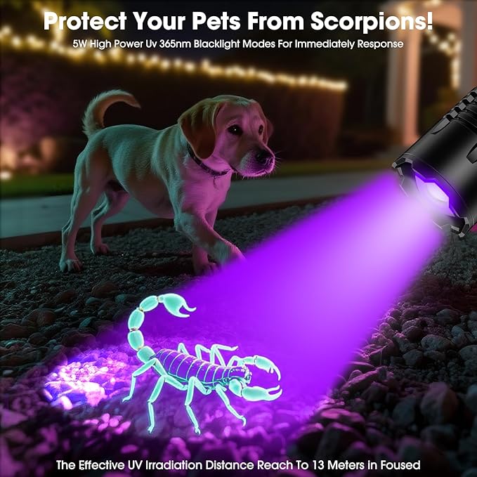 UV Blacklight&High Lumens Flashlight Rechargeable, Powerful Blacklight Flashlights for Pet Urine Detection, Resin Curing, Scorpion, Zoomable Waterproof Tactical LED Flashlight for Camping, Emgergency