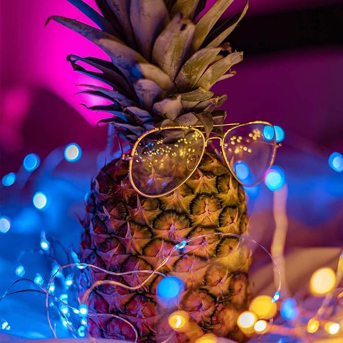 Minetom Color Changing Fairy String Lights - 33 ft 100 LED USB Silver Wire Lights with Remote and Timer, Starry Fairy Light for Bedroom Party Indoor Christmas Decoration, 16 Colors, Adapter Included