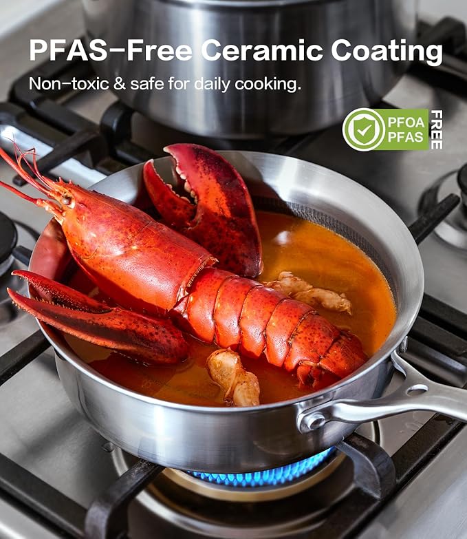 Saucepan with Lid 5-Ply Stainless Steel Sauce Pans, 3 Quart Small Pot for Sauce, Milk & Boiling, Induction Compatible, Oven Dishwasher Safe, Works on All Stovetops Non Toxic, PTFE & PFOA Free