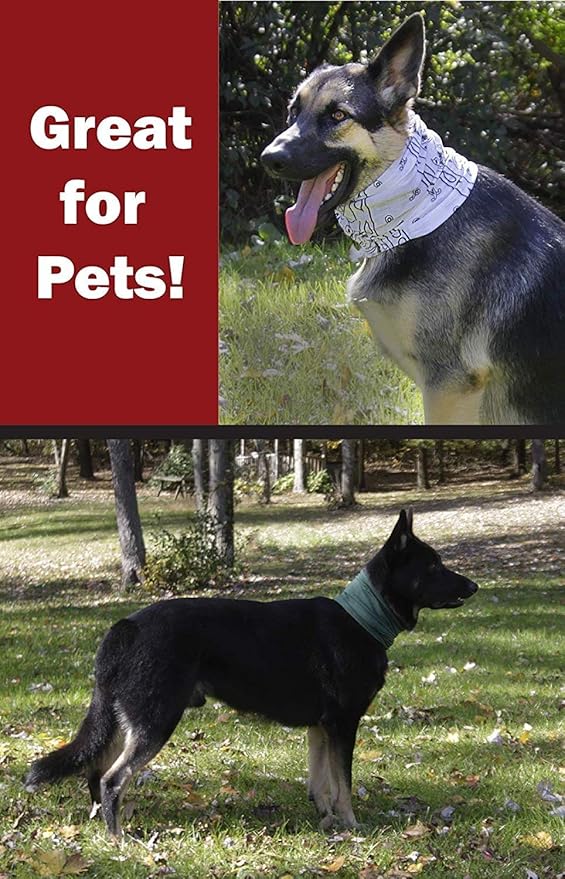 $averPak Pets - InsectGuard - Permethrin Treated Mosquitoes, Flies, Ticks & More Insect Repellent Tube Dog Bandanna Paisley (White/Black)