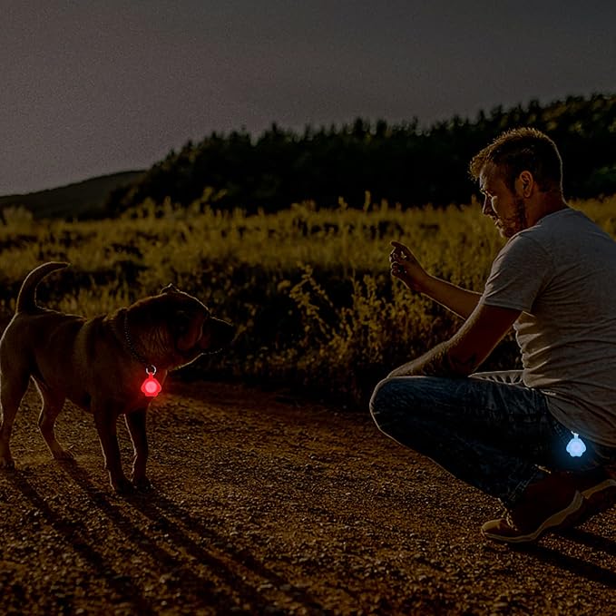 2-Pack Dog Light with USB Rechargeable, Color Changing Collar Light,IP67 Waterproof LED Safety Lights