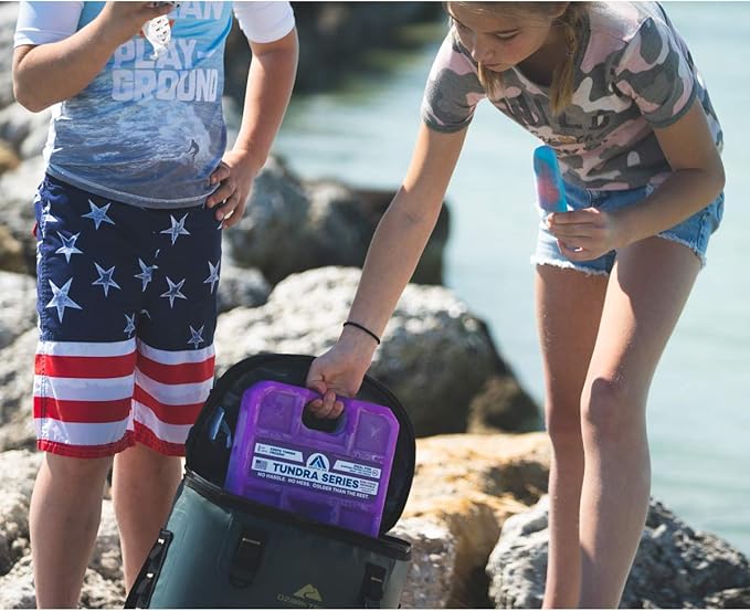 Arctic Ice Tundra Series Long Lasting Reusable Ice Pack - 5° Fahrenheit Cooling Point - Designed to Maintain Freezer-Like Temperatures in Coolers