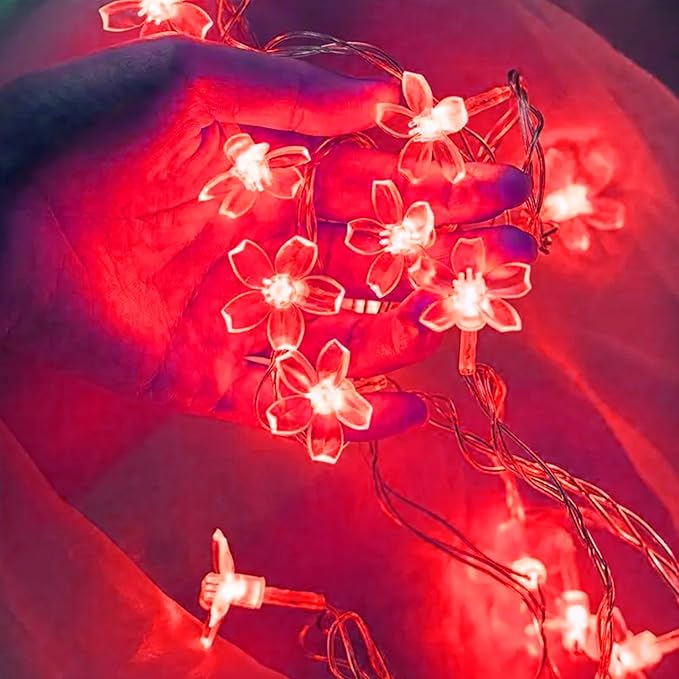 Battery Lighted & USB Plug in Fairy Flower String Lights, 10ft 30 LED Cute Cherry Blossom Lights with Timer Indoor Bedroom Party Wedding Christmas Easter Tree Branch Hanging Decorations (Red)