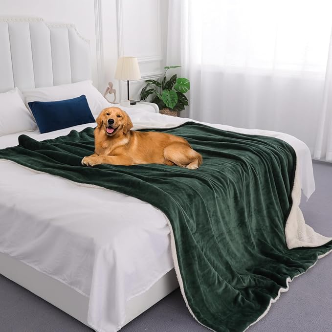 Waterproof King Size Blankets for Bed Spill-Proof, Water Proof & Mess-Free Cozy Flannel Splash Blanket Reversible Mattress or Furniture Protector for Queen, King Beds(Emerald Green)