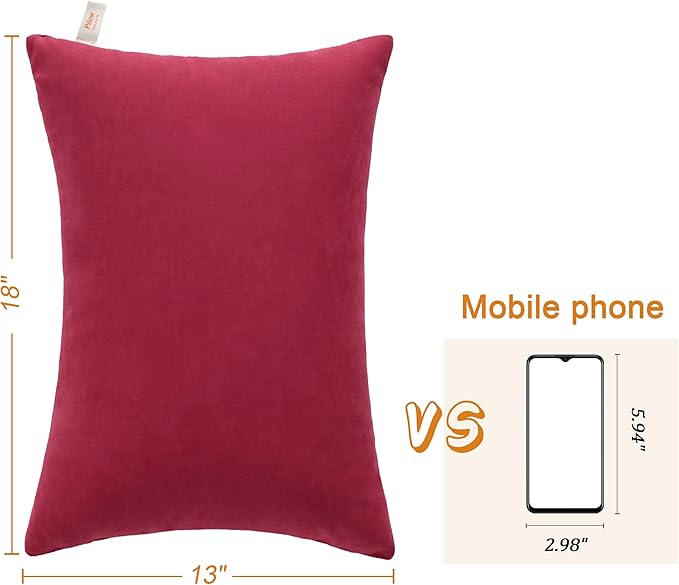 BEDSUM 2 Pack Microfiber Pillows, 13"x18" for Travel, Pets, Soft and Machine Washable, Small for Neck, Wrist, and Knee Comfort, Red