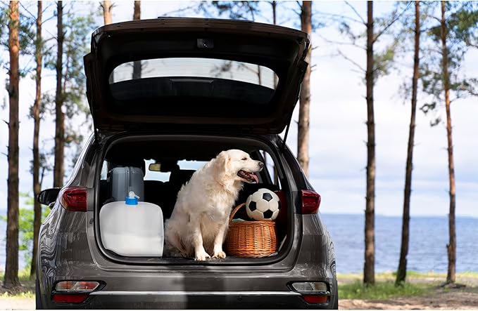 Collapsible Water Jug, 10 Packs 5.3 Gallon BPA Free Camping Water Container with Spigot, Portable Water Storage Carrier for Emergency Survival Hiking Backpacking Outdoors - Food Grade LDPE