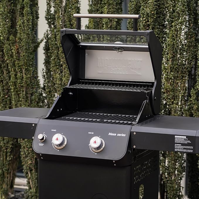 Monument Grills 2-Burner Foldable Stainless Steel Liquid Propane Gas Patio Garden Barbecue Grill with Clearview® Lid, Knob Control Mesa220 with BBQ Cover