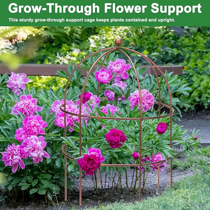 2 Pcs Jardin Bird Cage Plant Support 25" H Large Sturdy Grow-Through Flower Support Peony Cage Climbing Plant Support Trellis Sculptural Garden Decor for Perennial Flowers Vintage Gold