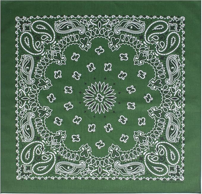 $averPak Pets - InsectGuard Permethrin Treated Mosquitoes, Flies, Ticks & More Insect Repellent Dog Bandanna Paisley (Hunter Green)