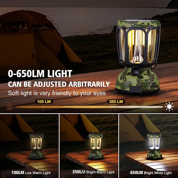 Raynic 6000 LED Camping Lantern, 650LM Hand Crank Solar Battery Powered Rechargeable Lantern, Emergency Lights for Home Power Failure, Hurricane, USB Cable Included