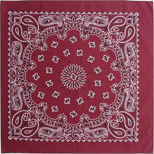 $averPak Pets - InsectGuard Permethrin Treated Mosquitoes, Flies, Ticks & More Insect Repellent Dog Bandanna Paisley (Burgundy)