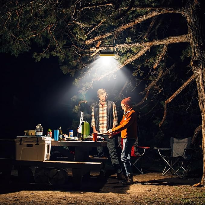 40W Rechargeable Work Light with Tripod Hole, 2400LM LED Work Light Battery Powered, Waterproof Portable Work Light Cordless Job Site Lighting 180° Rotate for Garage Camping Car Repairing 2 Pack