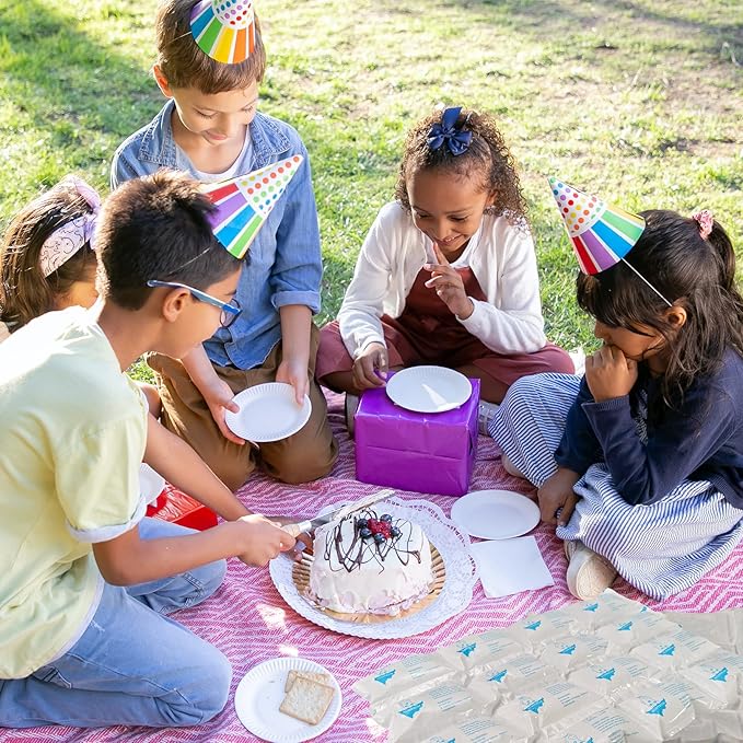 Dry Ice Packs for Shipping Frozen Food, Reusable Cold Ice Sheets for Coolers, Lunch Bag, Flexible Long-Lasting Ice Blanket Sheets for Shipping