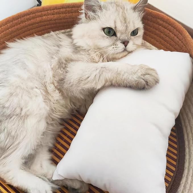 BEDSUM 2 Pack Microfiber Pillows, 13"x18" for Travel, Pets, Soft and Machine Washable, Small for Neck, Wrist, and Knee Comfort, Lavender