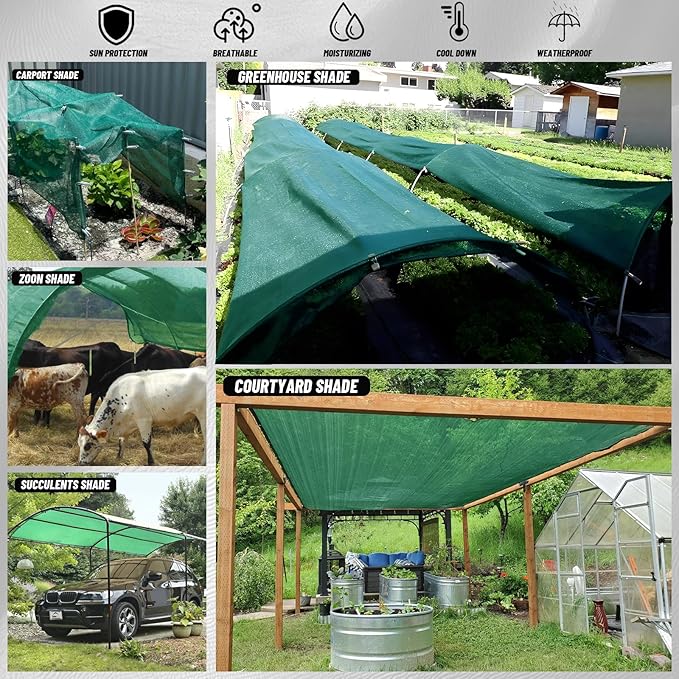 Cool Area 55% 6x8ft Sunblock Shade Cloth Cover Mesh UV Resistant Net for Garden Flower Plant Greenhouse, Green