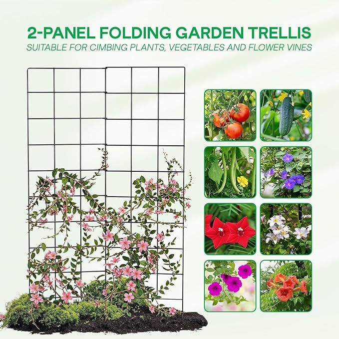 IDZO 2-Panel Folding Trellis, Basic Metal Decoration Trellis for Climbing Plants Outdoor, Tall Metal Plant Trellis with Steel Frame, Panel Trellis Garden Lattice for Vines & Vegetables