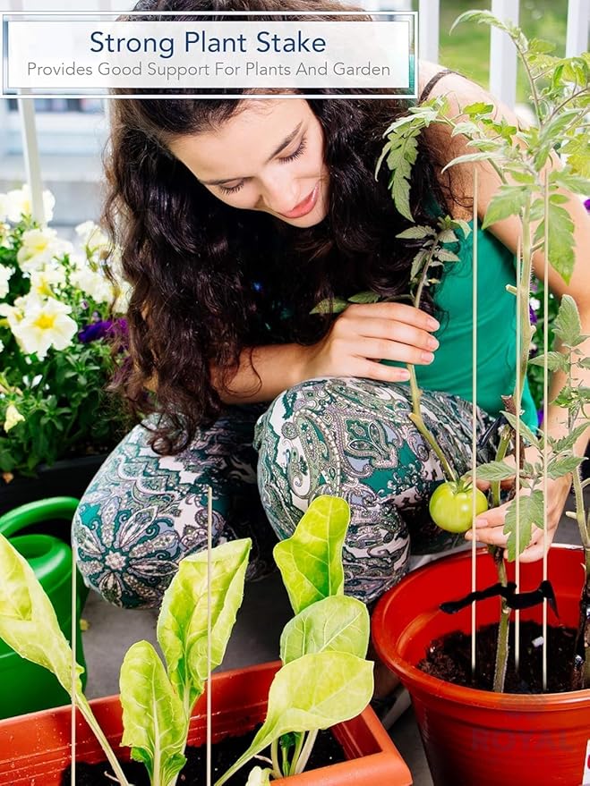 120 PCS Bamboo Marshmallow Roasting Sticks, SMores Skewers, Extra Long 25 Inch Heavy Duty 6mm Thick Wooden SMores Sticks for Open Fire Pits Roaster Barbecue Hot Dog Camping Kebab Sausage Plant Support