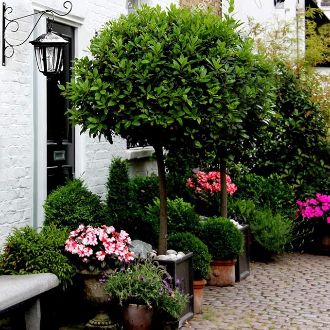 Hanging Plants Bracket, Pack of 2 Black Iron Outdoor Hanging Brackets Wall Hooks for Bird Feeder Lanterns Wind Chimes with Screws