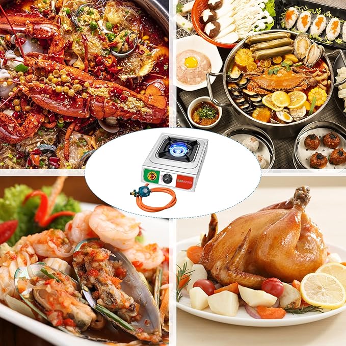 Vivicreate 10000 BTU Single Burner Propane Gas Stove Outdoor Camping Cooker Portable Stainless Steel Cooktop with Hose for BBQ Frying Boiling High BTU Estufa de Gas Portátil Fogón de Gas