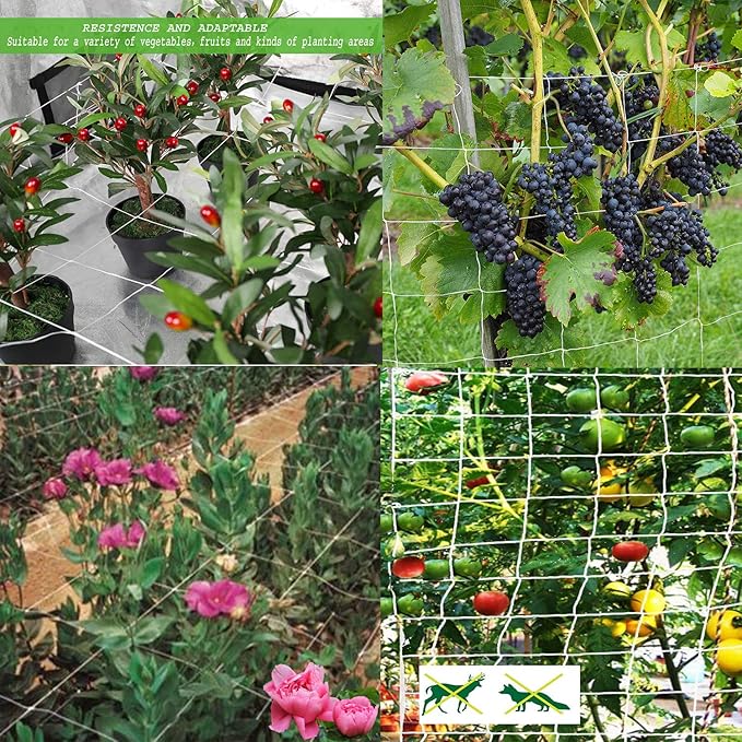 All-Weather Trellis Netting Mesh Plant Garden Vine Growing Flexible String Net (3.5" Mesh ployester, 5' Wx 15'L)