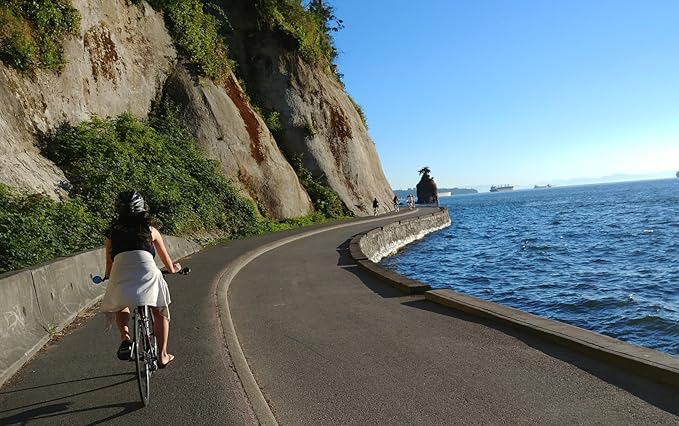 Hafny Bar End Bike Mirror - Stainless Steel Lens, Safe Adjustable Rearview, Cycle, E-bike - HF-MR087 (Black 68 Diameter)